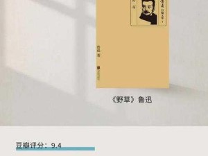 野草乱码版本差异解析：一二三四有何不同？