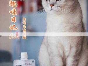 元气猫咪攻略，神经猫游戏安装与配置详解