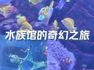 纸牌水族馆，策略与梦幻交织的奇妙探索之旅