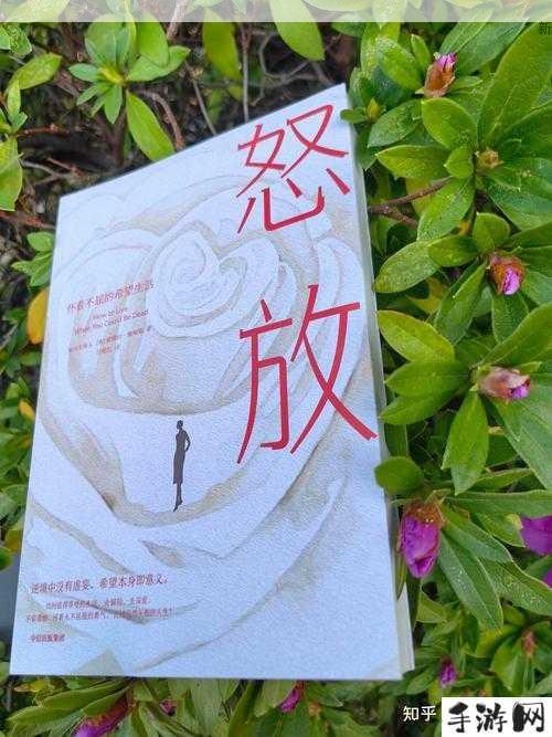 深深的思索：探寻一丝深沉背后的真正意味