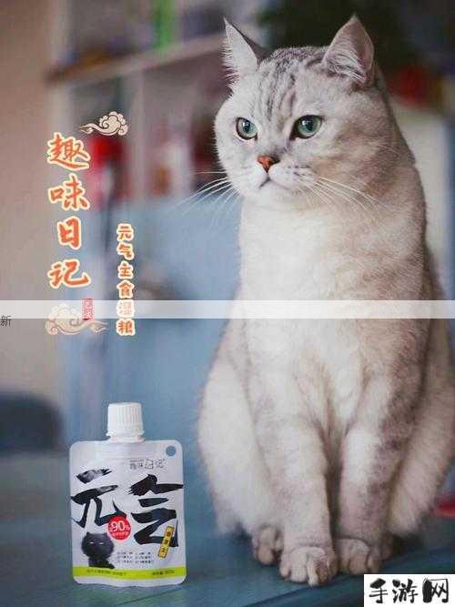 元气猫咪，围住神经猫安装及配置全攻略